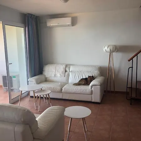 Sognu Di Rena Superbe Duplex T4 3 Ch Climat Vue Panoramique Face A La 아파트 *