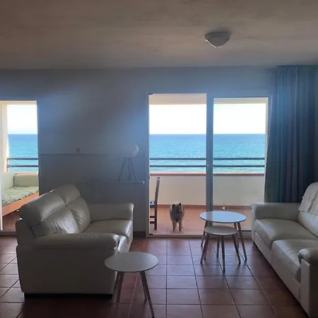 Sognu Di Rena Superbe Duplex T4 3 Ch Climat Vue Panoramique Face A La 아파트 *